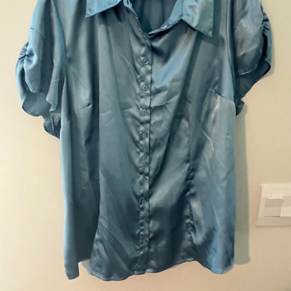 Lane Bryant blouse 22/24 - Picture 3 of 7